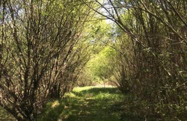 Peaceful, comfortable retreat with pool - Foto 49