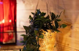 L'Oasis des Coccinelles - Foto 50