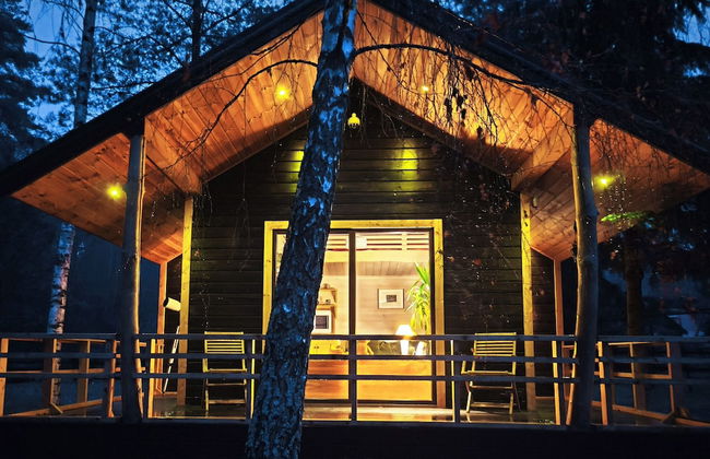 Metai Miške&a Year in the Forest - Photo 18