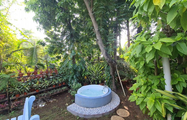 Peace Lily Cottage - Photo 41