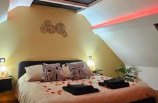 L'Hortillon - Photo 11