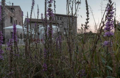 i Cacciagalli Wine Resort - Foto 30