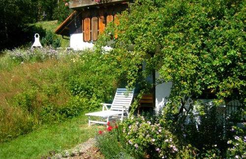 Waldhuesli Feldberg Gartengeschoss - Photo 20