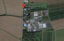 Glamping With Llamas - Foto 34