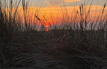 Haus Juist-Norddeich - Foto 30