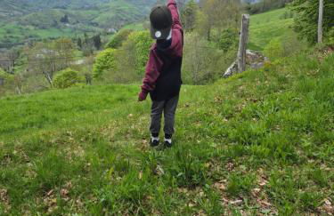 Gite le petit Ely - Photo 22