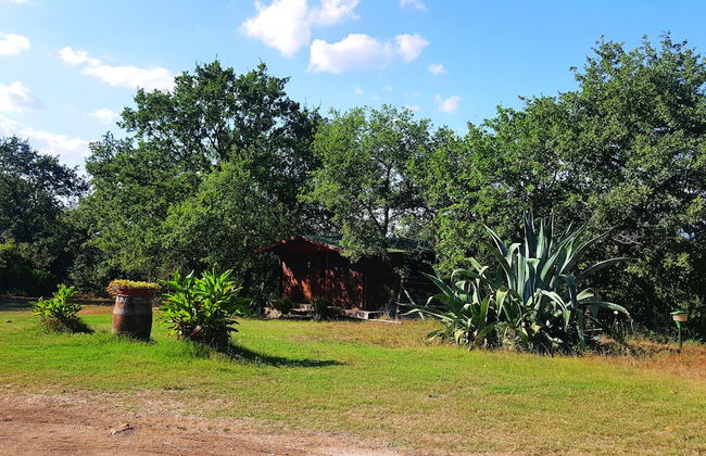 Il Daino Bianco Country Hotel - Foto 74