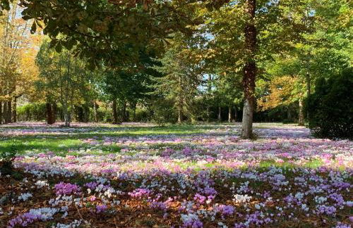 Domaine des Tilleuls - Foto 9