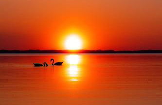 Maison paisible avec jardin - proche du lac de Sanguinet - Foto 23