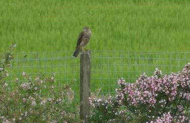 Hillhaven Lodge - Foto 19