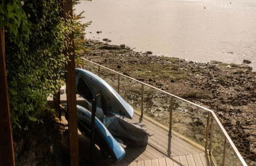 The Bald Seagle - Foto 27