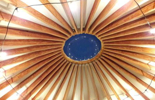 Pet-Friendly Yurt for an Off-the-Grid Getaway near Hyrum, Utah - Foto 3