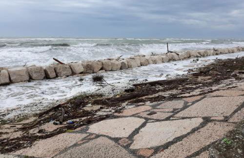 Villamamaeli - Photo 48