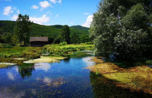 Haus Martha - Foto 25