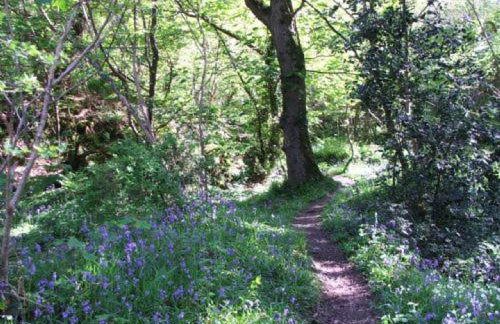 Y Caban at Wig Farm near Llangrannog - Foto 6