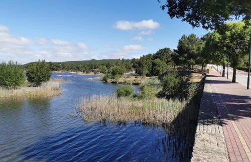 Main house Solar dos Condes da Azenha - Foto 65