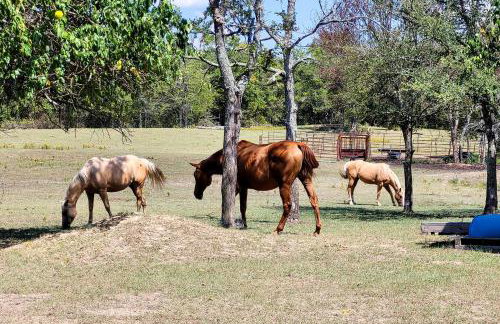 Hand-Built Black Fork Cabin 2 with Fire Pit! - Foto 27