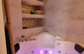 Au Fil De l' Eau 21 rue des Minotiers 43110 Aurec-sur-loire - Foto 1