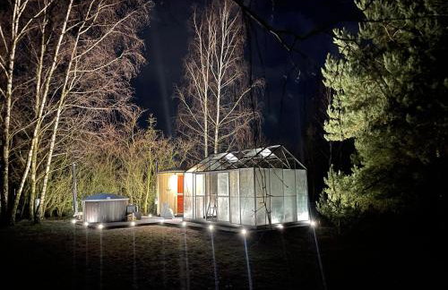 Między Brzozami - Foto 38