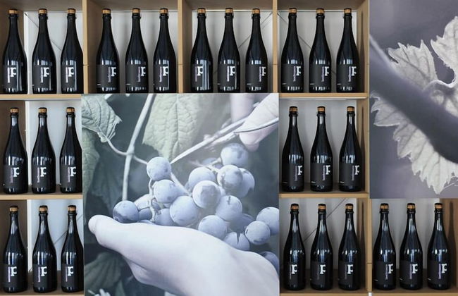 Pianderna Agriwellness - Foto 17