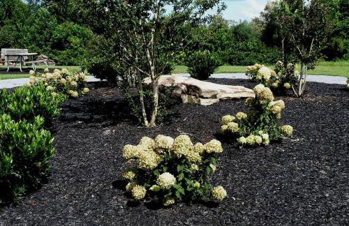 Vacation Cabin Rental near Amazing Hiking Trails in Liberty, Kentucky - Foto 17