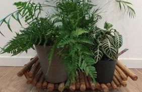 Valtellina Vacanze - Photo 41