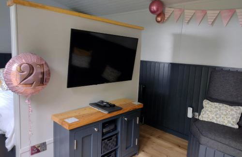 Little Acorn - Luxury shepherd's hut / lodge with private hot tub and garden - Foto 27