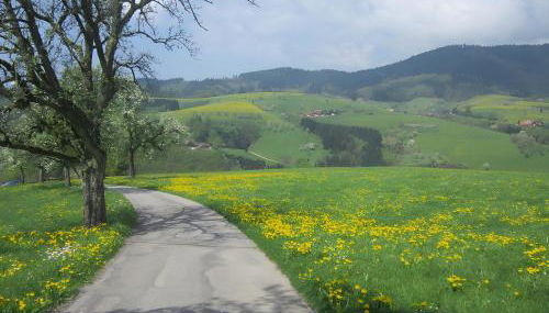 Ferienhaus Hubhof - Foto 5