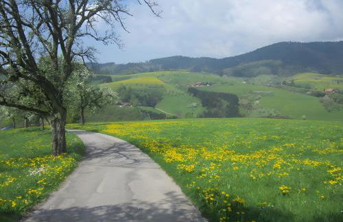 Ferienhaus Hubhof - Foto 5