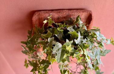 Chianti House Garden - 30 min Firenze centro - Foto 25