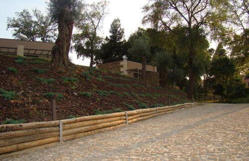 Bosque da Harmonia - Foto 70