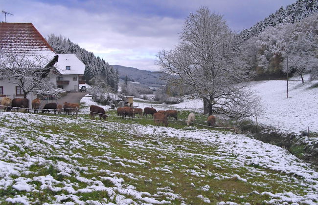 Comfortable Holiday Home in a Beautiful Location - Photo 24