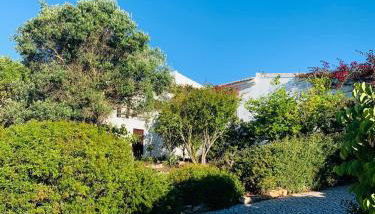 Dona Maria 66 - Foto 2, Garden