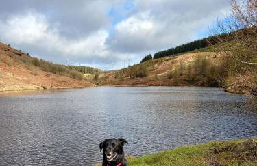 3 bed workers home Welsh Valleys - Foto 37