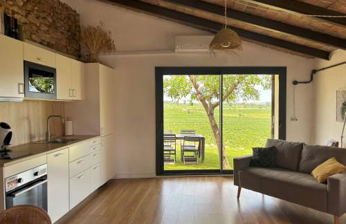 Cabernet Rural - Foto 14