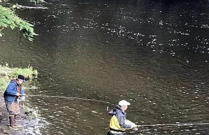 Charming A-Frame Cabin Rental on Prince of Wales Island in Hollis, Alaska - Foto 9