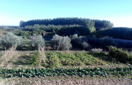 Hospital del Temple Casa Rural - Foto 39