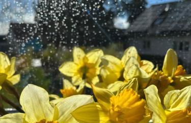 Kunstpause am Altmühlsee - Foto 14