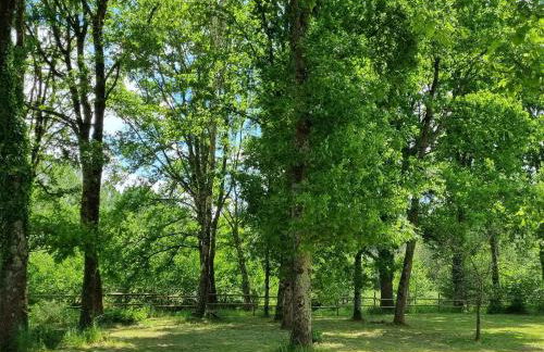 Luxe et tranquillité au vert: maison 6 chambres, piscine, proche du Mans, idéale familles et groupes - FR-1-410-361 - Foto 31