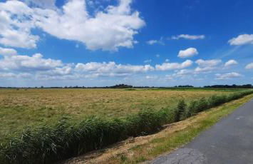 Apart-Lachmoewe-im-Moewennest-Tossens - Foto 18