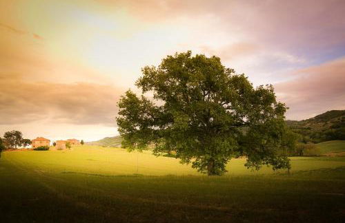 Vacanze Sant Andrea - Foto 78