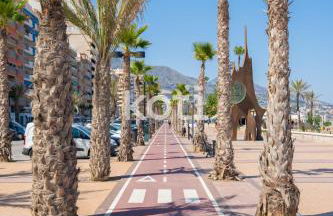 Koti Rentals - Doña Sofía - Foto 49