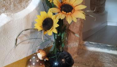 Dolci Vecchi Ricordi in Valpolicella - Foto 2