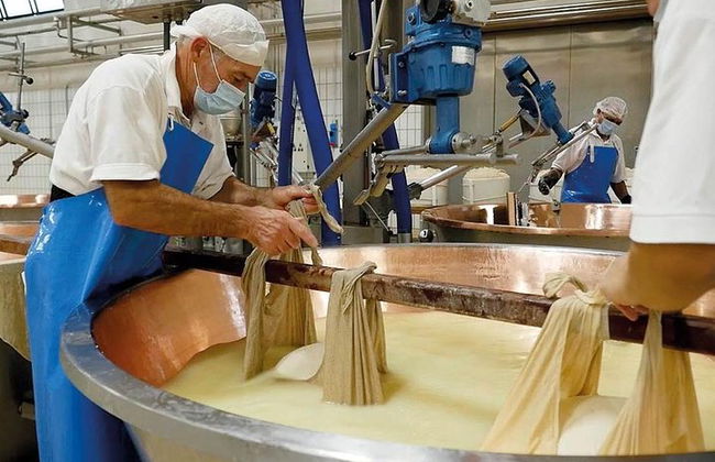 Excursión privada de un día y almuerzo: Degustación de queso parmesano, vino y vinagre - Foto 6