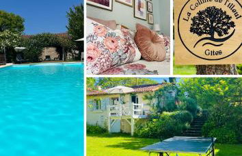 La Colline de Tilleul - Les Deux Puits - Cosy Cottage with swimming pool near Aubeterre - Foto 54