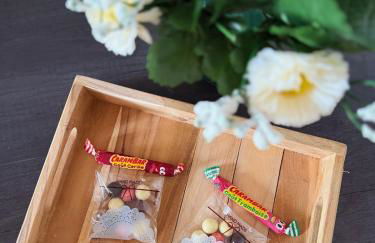 Nancy elegance Cocooning apartment - Foto 14