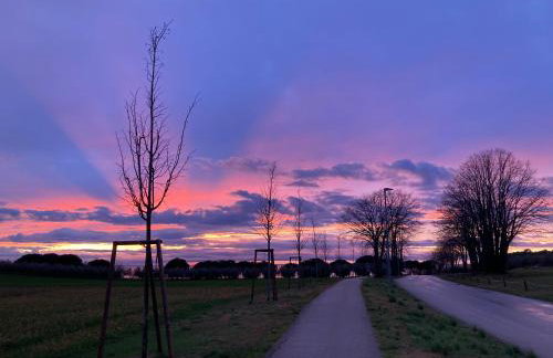 App Sorgo - Photo 55