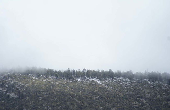 Excursion à Arteaga - Photo 8