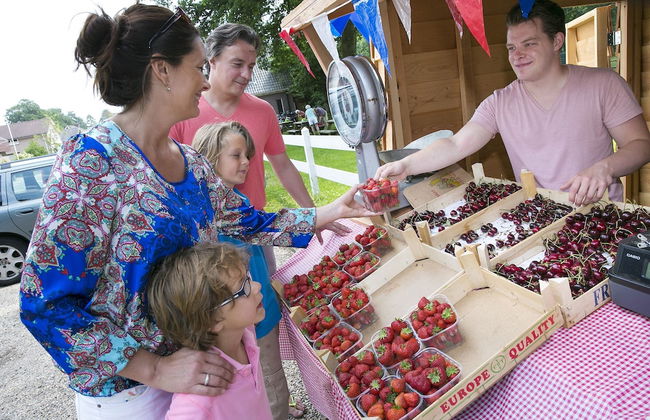 Forest-edge Family Bungalow - Foto 42