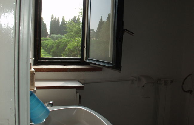 Codavolpe Giardino di Tea - Foto 22